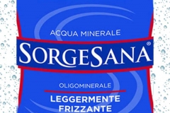 sorgesana-logo