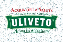 uliveto-logo