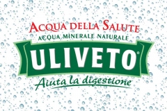 uliveto-logo