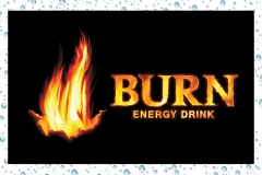 burn-logo