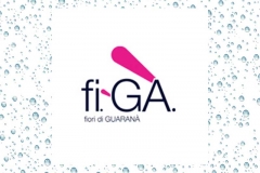 figa-Logo