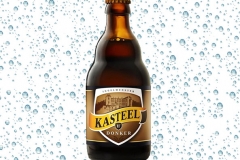 Kasteel-Donker