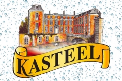 Kasteel-Logo