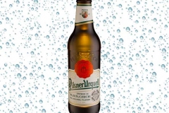 Birra Pilsner Urquell Brown