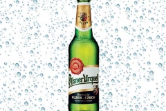 Birra Pilsner Urquell Classic