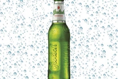 Grolsch-33