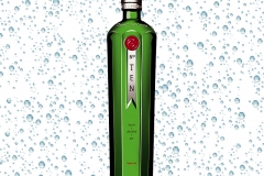 Tanqueray-No.10