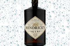 hendrick's