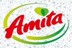 Amita_new-logo