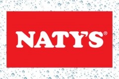 natis-logo