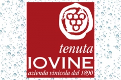 Iovine-Logo