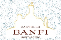 banfi-logo