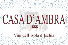 casa-d-ambra-logo