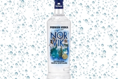 Vodka-Norvik