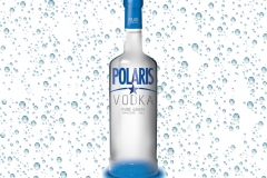 Vodka-Polaris