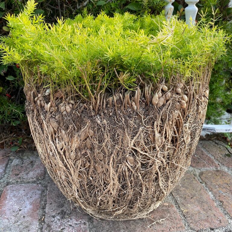 Fertilizzante in sacco con avvertenza su rischi per le radici delle piante.